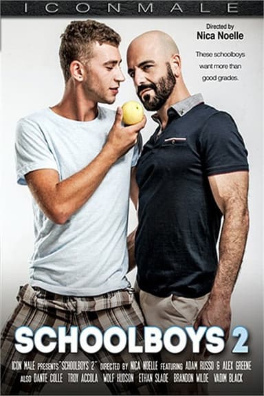 Schoolboys 2 poster