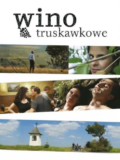 Strawberry Wine poster