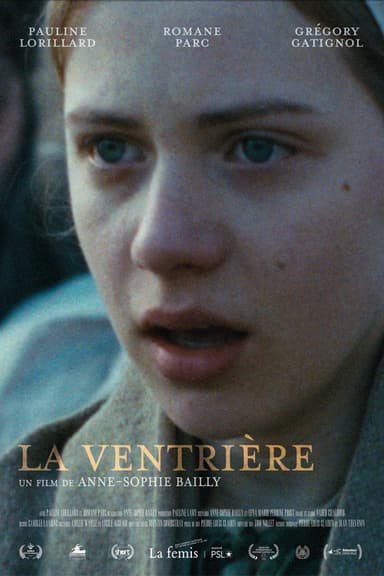 The Midwife poster