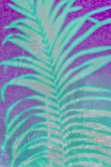 EVANESCENT NSW poster