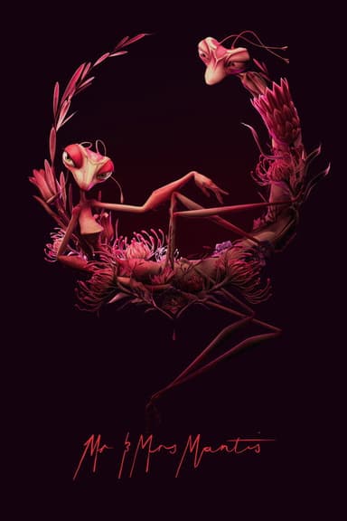 Mr & Mrs Mantis poster
