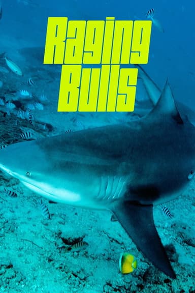 Raging Bulls poster