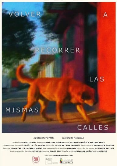 Retracing the Same Streets poster
