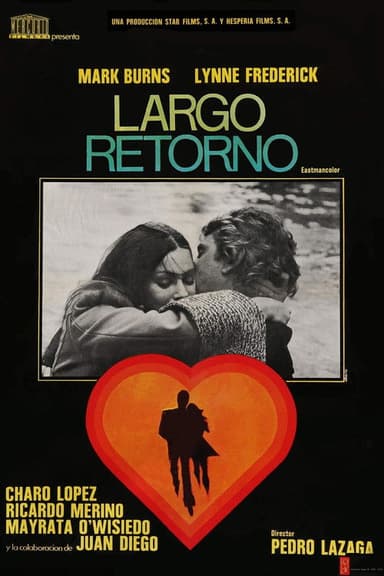 A Long Return poster