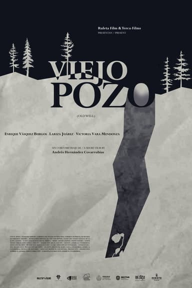 Old Well poster