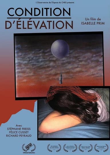 State of Elevation poster