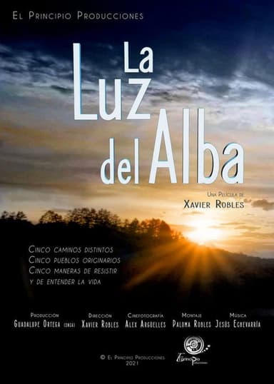 The Light Of Dawn poster