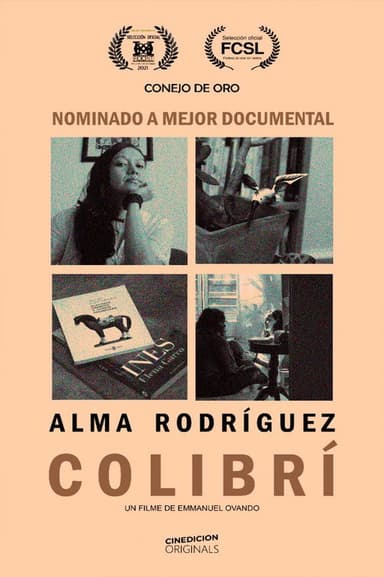Colibrí poster
