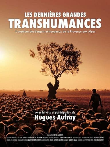 Les dernières grandes transhumances poster