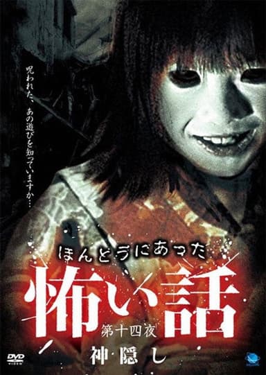 Scary True Stories: Night 14 - Mysterious Disappearance poster