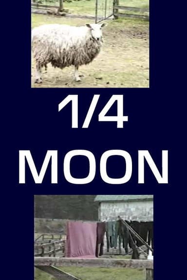 1/4 Moon poster