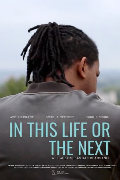 In This Life Or The Next poster