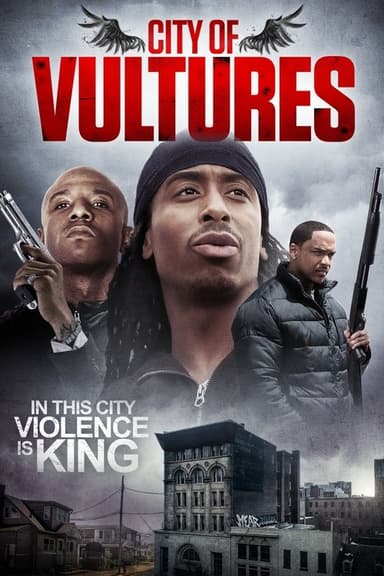 City of Vultures poster