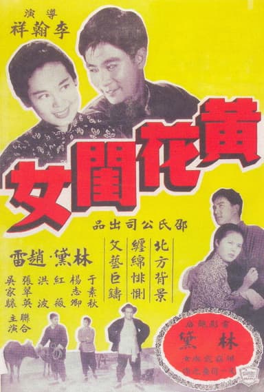 Lady in Distress poster