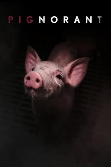 Pignorant poster