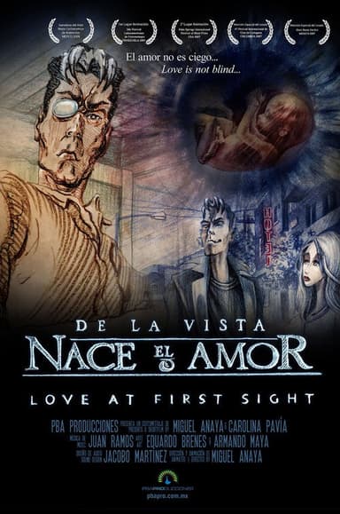 De la vista nace el amor poster