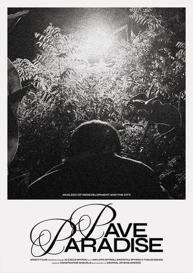 Pave Paradise poster