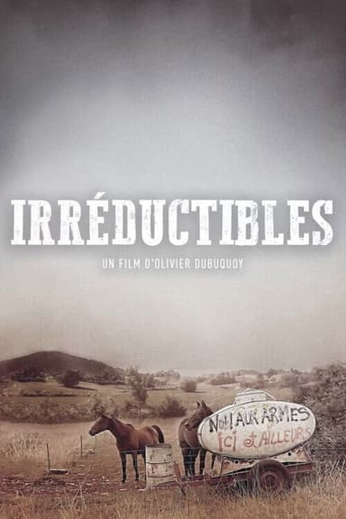 Irréductibles poster