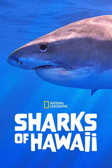 Sharks of Hawaii poster