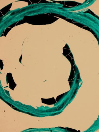 The Red Tide poster