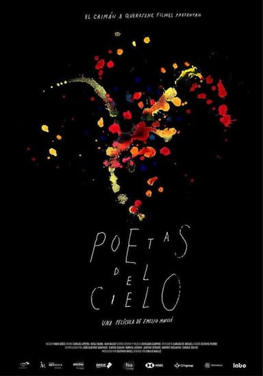 Sky Poets poster