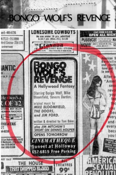 Bongo Wolf’s Revenge poster