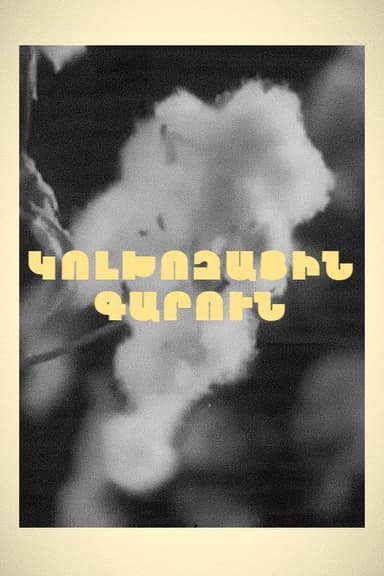 Spring in Kolkhoz poster
