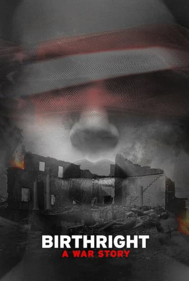 Birthright: A War Story poster