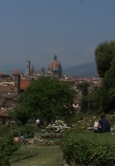 Veduta poster