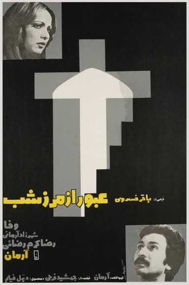 Crossing the Night poster