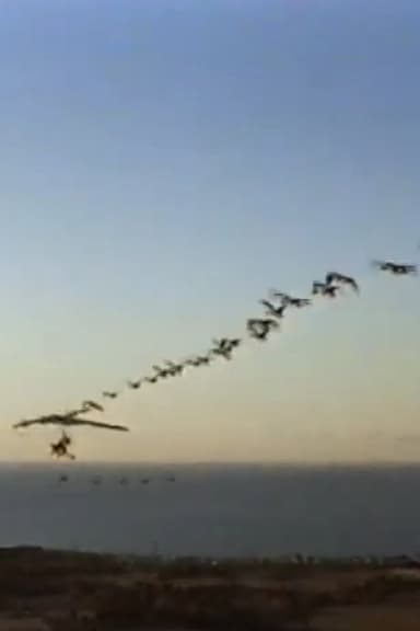 The Ultra Geese poster