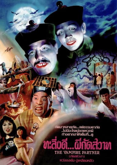The Vampire Partner poster