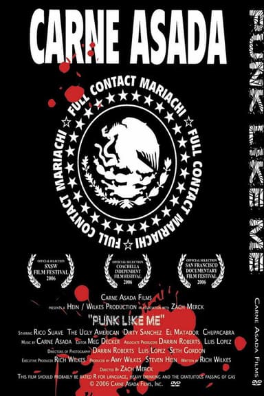 Punk Like Me poster