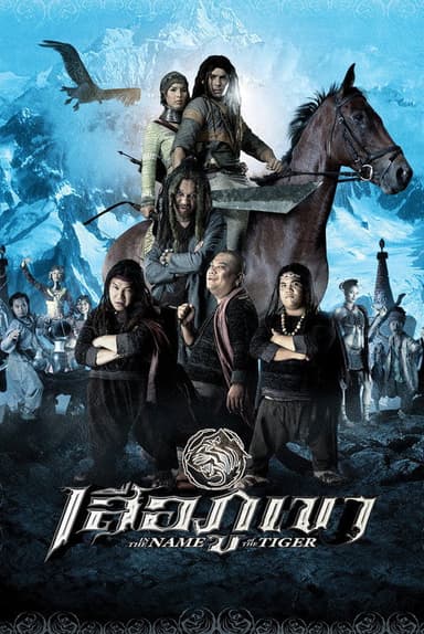 In The Name of The Tiger poster