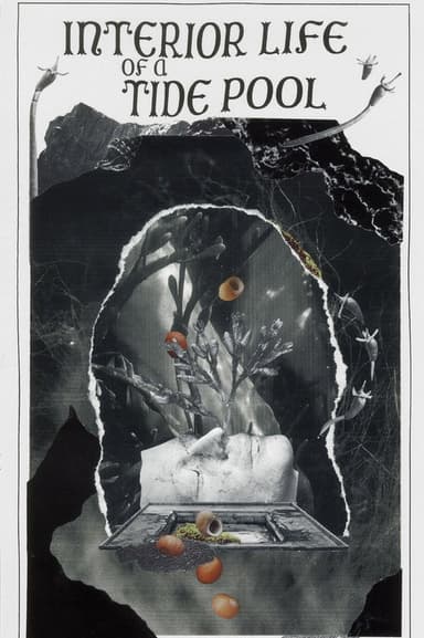 Interior Life of a Tidepool poster