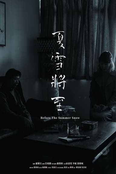 Before the Summer Snow poster