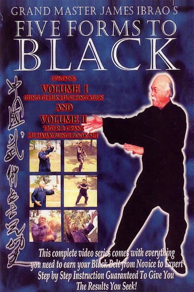 Five Forms to Black poster