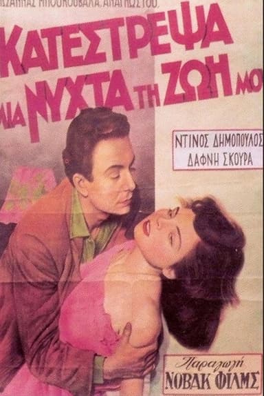 I Ruined My Life in One Night poster