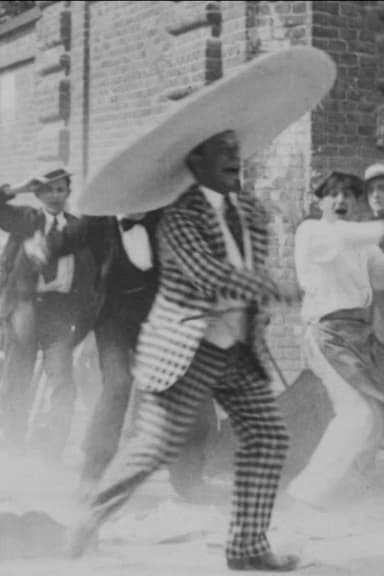 Wide Brimmed Hats Are Fashionable poster
