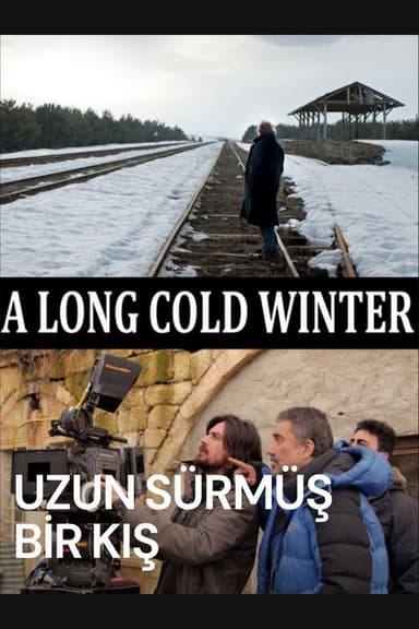 A Long Cold Winter poster