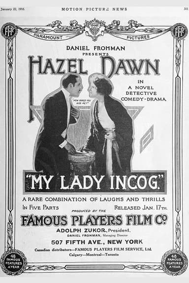 My Lady Incog. poster