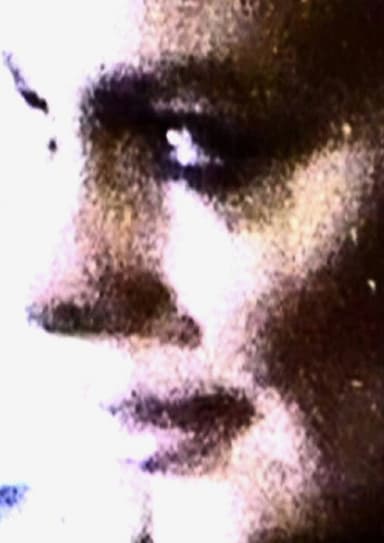 The Lindsay Lohan Experience poster