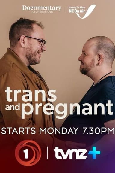 Trans & Pregnant poster