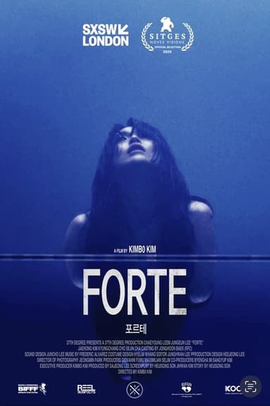Forte poster
