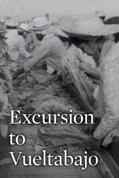 Excursion to Vueltabajo poster