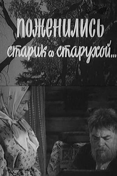 An Old Man and An Old Woman Got Married poster