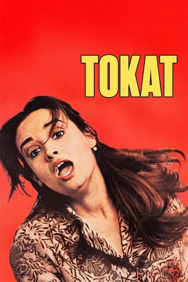 Tokat poster