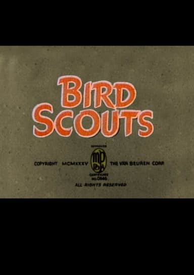 Bird Scouts poster