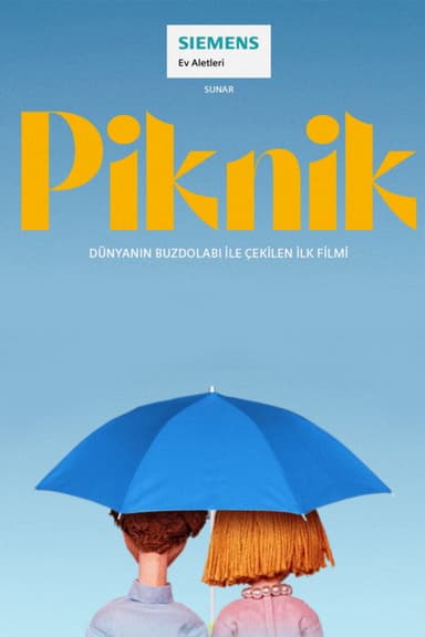 The Picnic poster