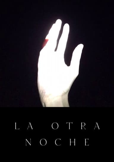 The Other Night poster